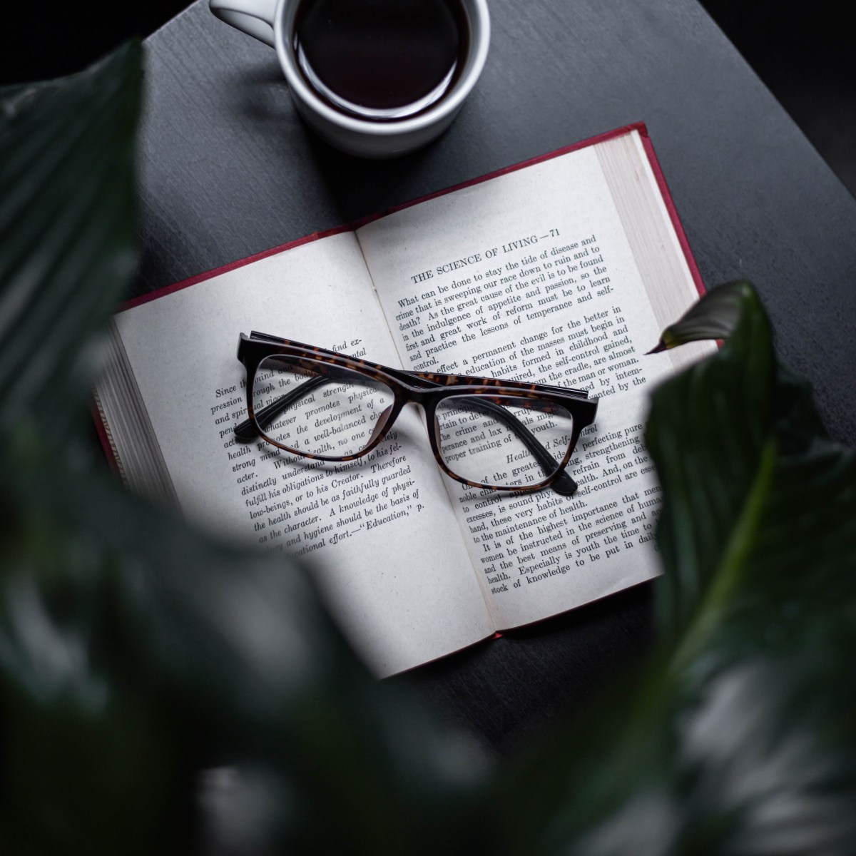 Why Do I Need a Beta&nbsp;Read?